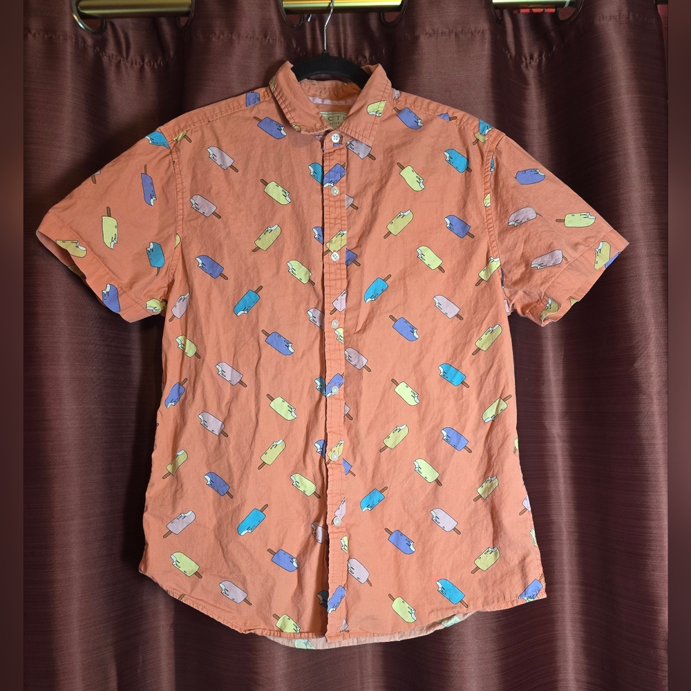 Men's Large Cactus Popsicle Casual Dress Shirt